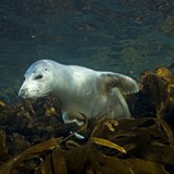 _MG_0015.jpg
