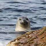 diverse bilder august 2010 076.JPG