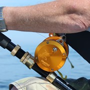 Fishing trips