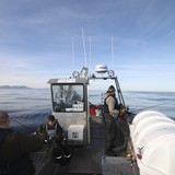 IMG_4490.jpg