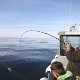 IMG_4496.jpg