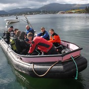 Svarteper