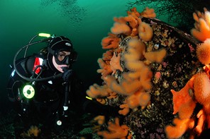 Scuba Diving Eirin 2013.jpg